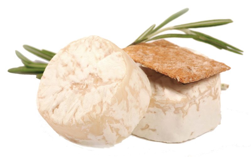 Goat Cheese Salad