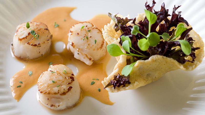 Pan Seared Scallops with Carrot Puree
