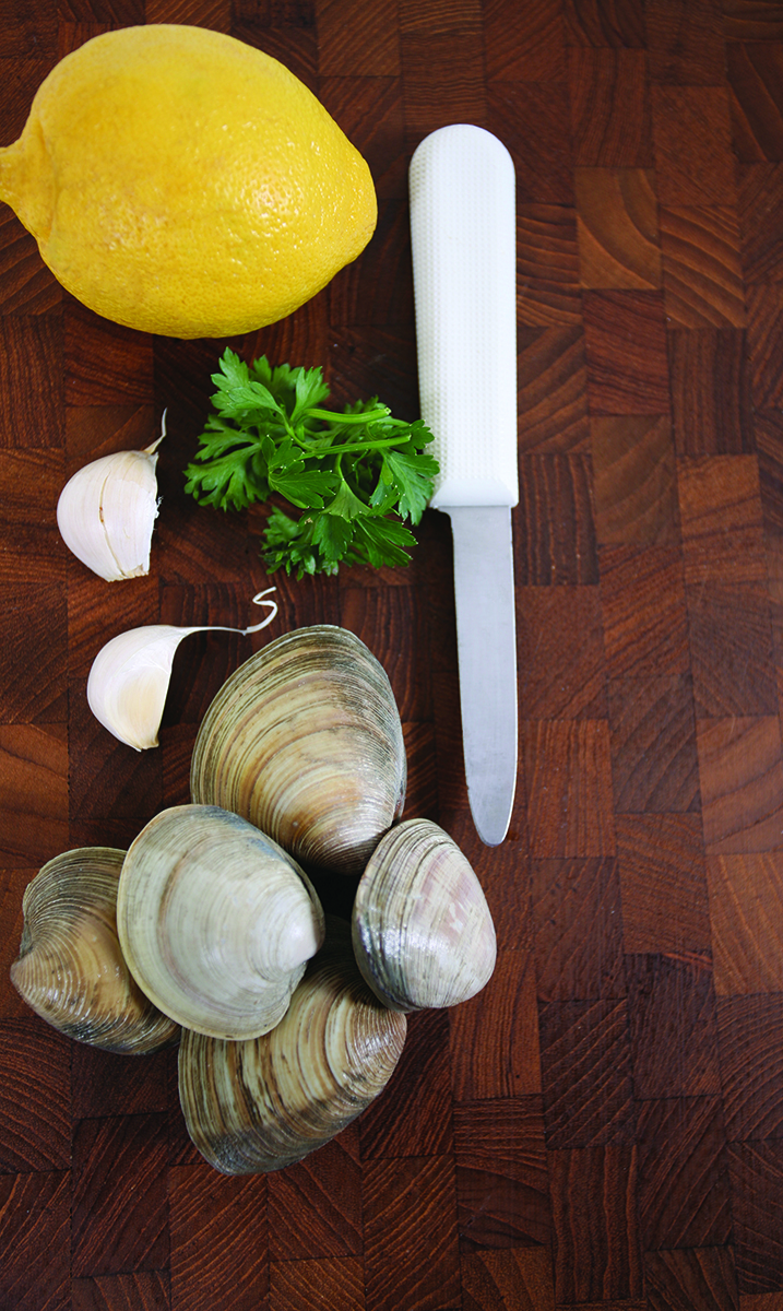 little neck clams