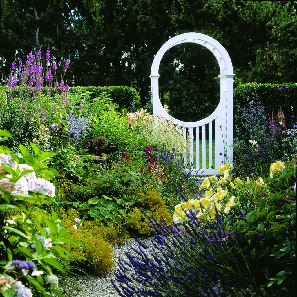 The lasting beauty of perennials Cape Cod LIFE Publications