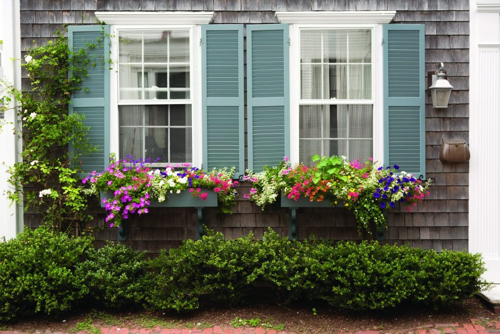 Pommet_windowBox_34