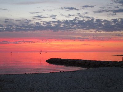 orleans-danaparadis-july-img_7955