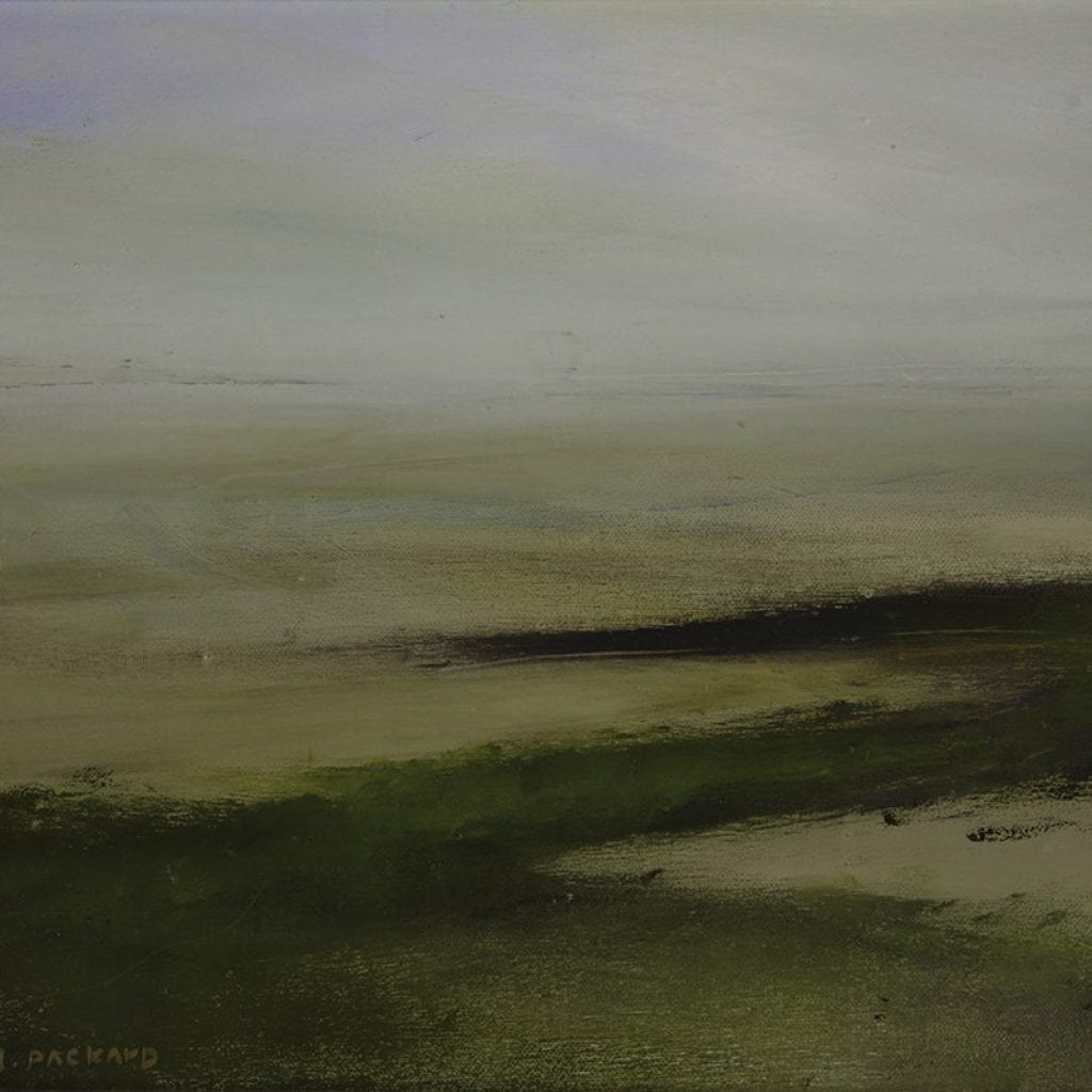 Anne Packard