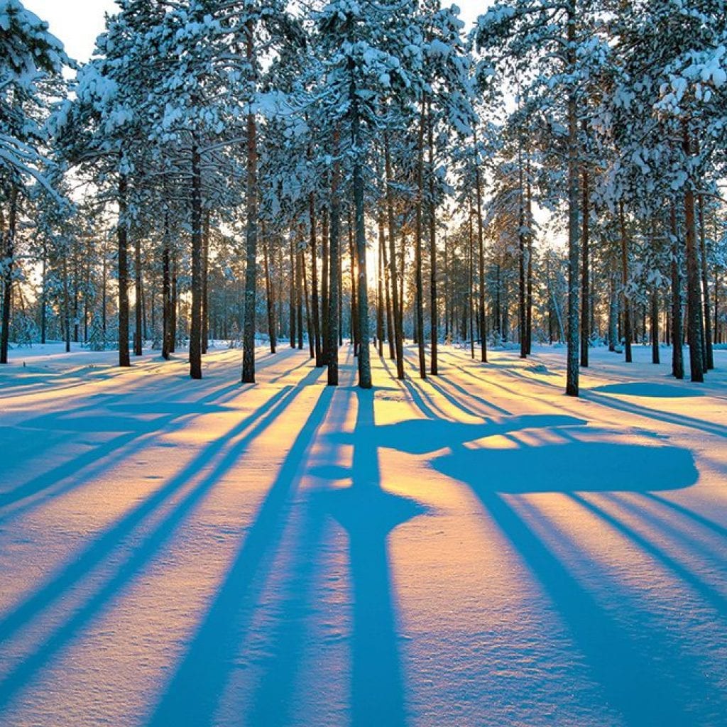 Winter 2014