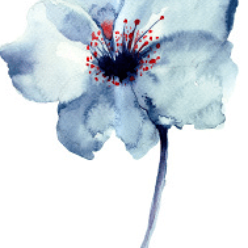 Annual Art 2015