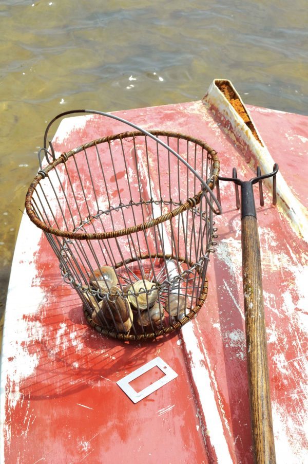 Shellfishing 101 | Cape Cod LIFE