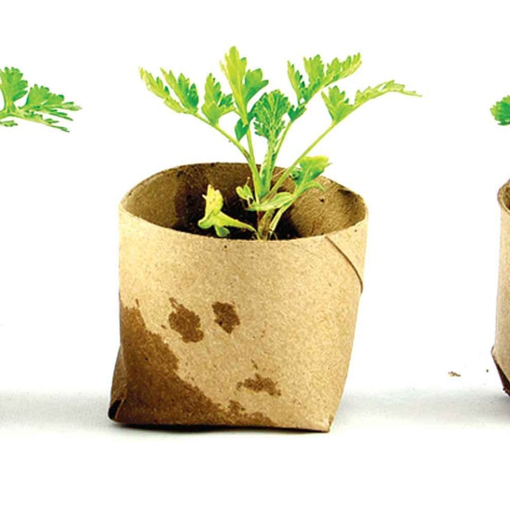 Reap What You Sow