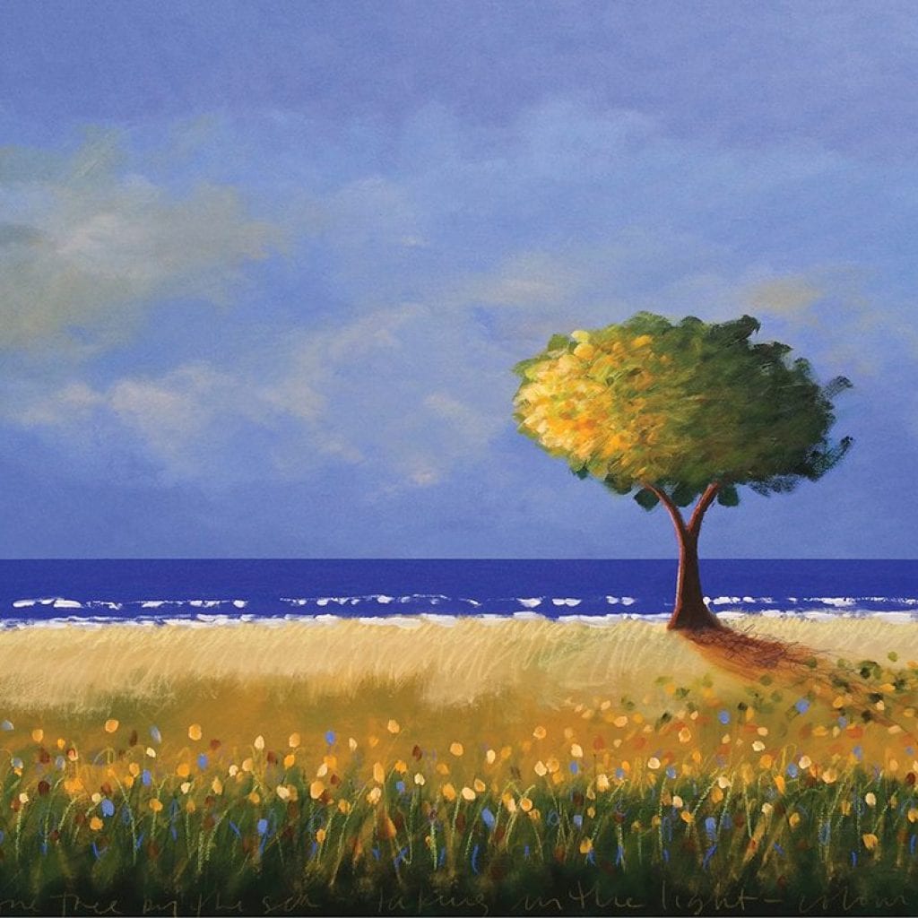 Tjasa Owen | Cape Cod ART