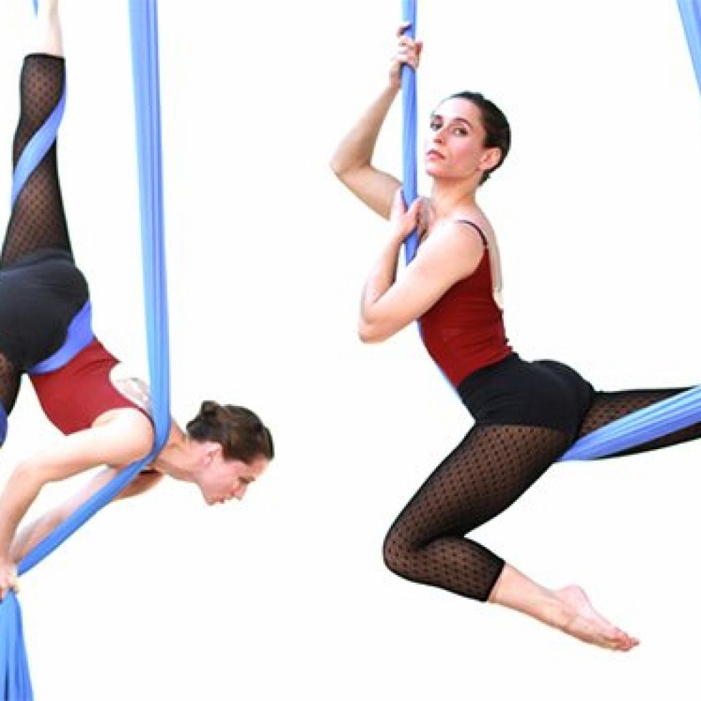 A circus for the 21st century, Cape Cod Art Annual 2016
