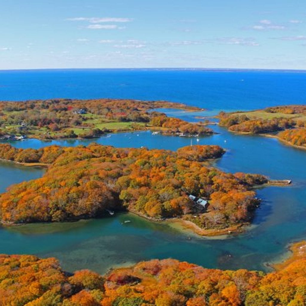 “A noble and primitive wood” | Cape Cod LIFE August 2016