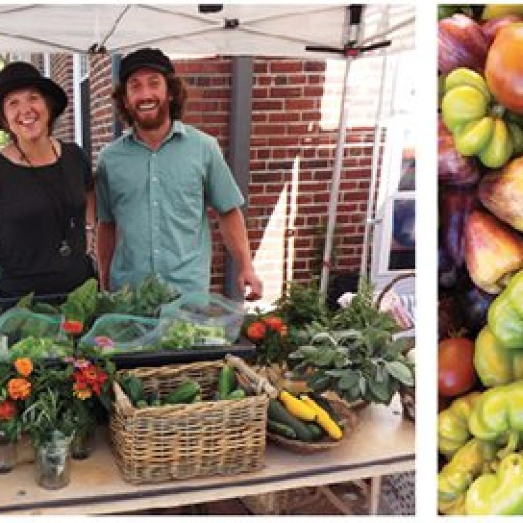 Celebrate the harvest at Sustainable Nantucket’s Farmers & Artisans Market, Sept/Oct Cape Cod Life | capecodlife.com