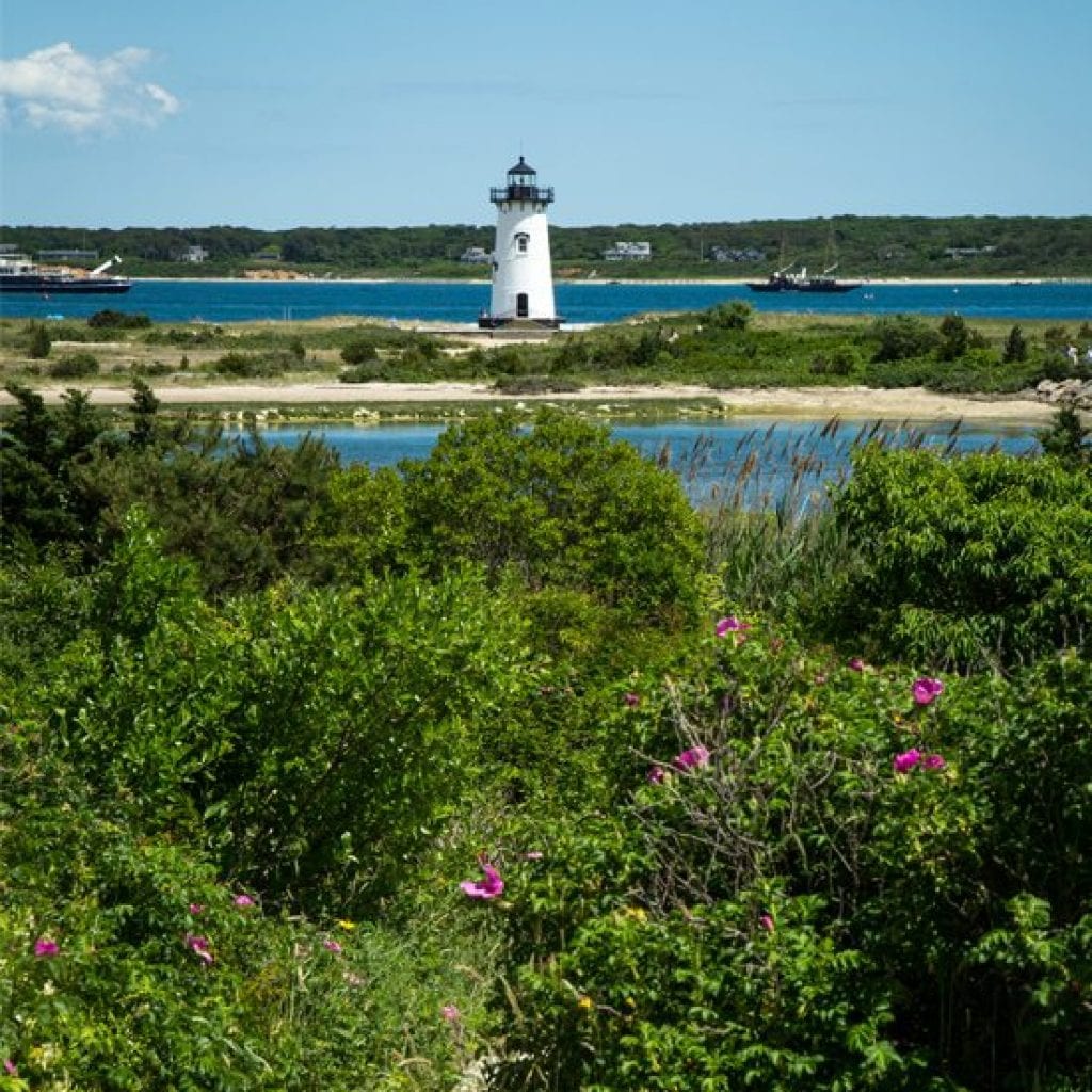 Martha’s Vineyard, Annual 2017 Cape Cod Life | capecodlife.com
