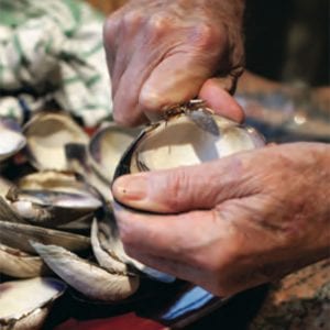 Quahog Chowder