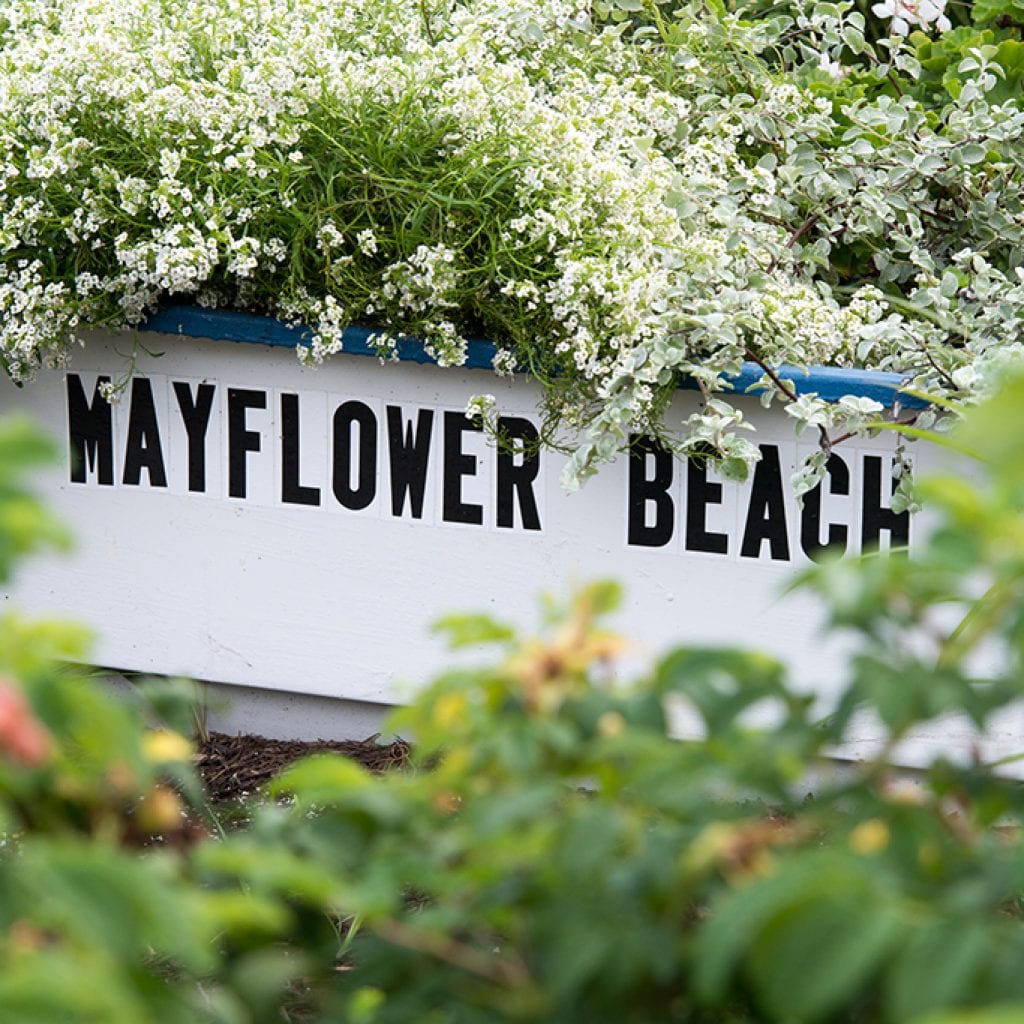 Two days in Dennis, June 2017 Cape Cod LIFE | capecodlife.com
