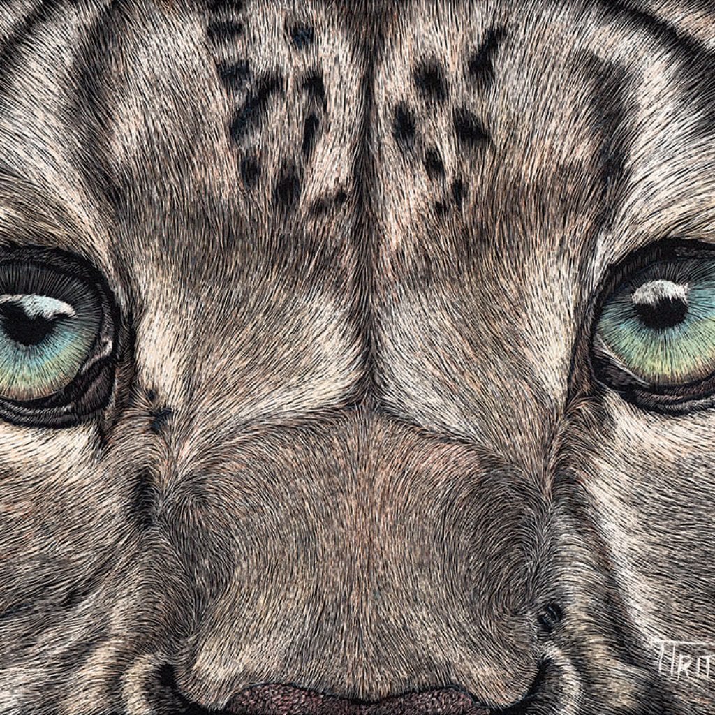 Artist Profile: Tina Trites, Annual 2017 Cape Cod ART | capecodlife.com