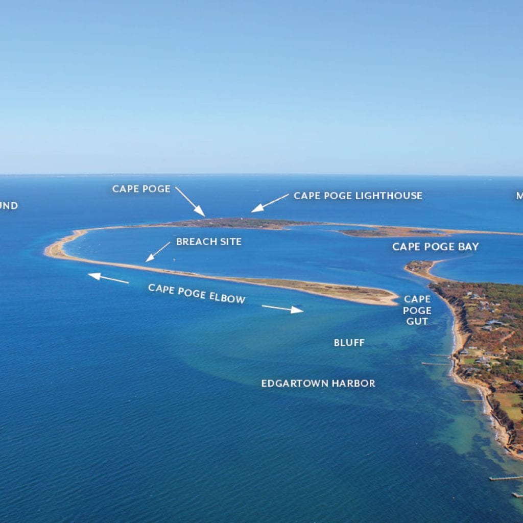 The changing shape of the Cape & Islands: Cape Poge and North Neck, Chappaquiddick, Martha’s Vineyard, July 2017 Cape Cod LIFE | capecodlife.com