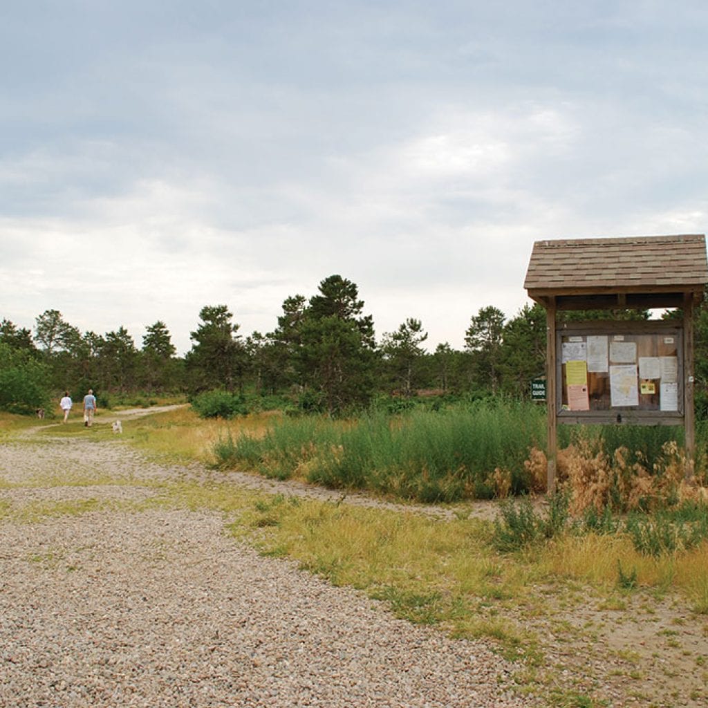 Woodlands, Wetlands & Wildlife, August 2017 Cape Cod LIFE | capecodlife.com