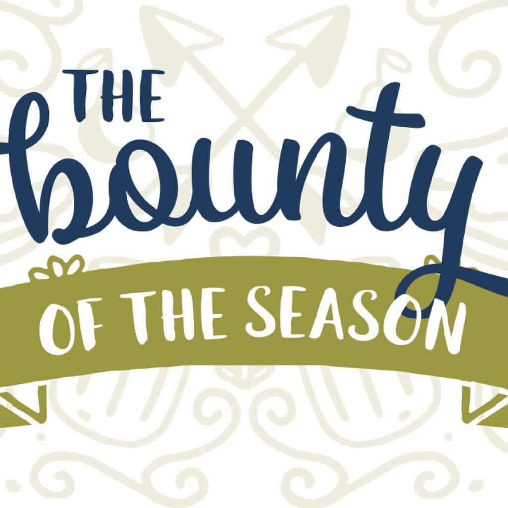 The Bounty of the Season: Articles on farmers and food artisans throughout the Cape & Islands, September/October 2017 Cape Cod LIFE | capecodlife.com