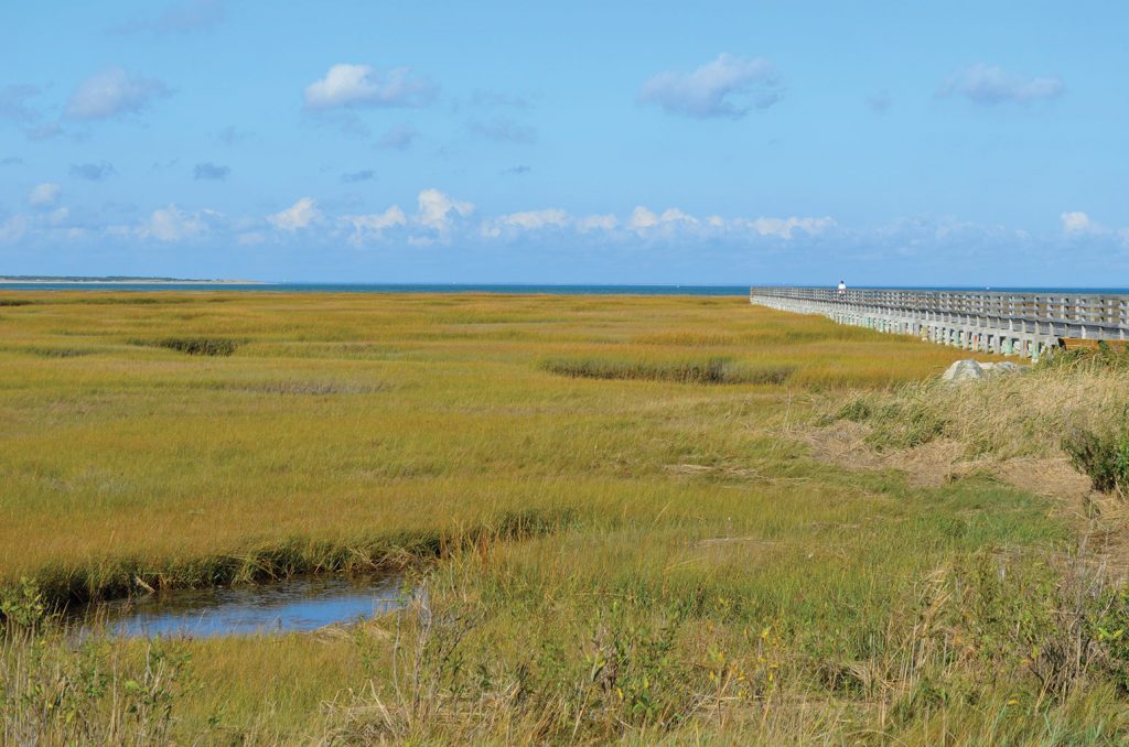 2018 Annual Guide: Yarmouth, Annual Guide 2018 Cape Cod LIFE | capecodlife.com