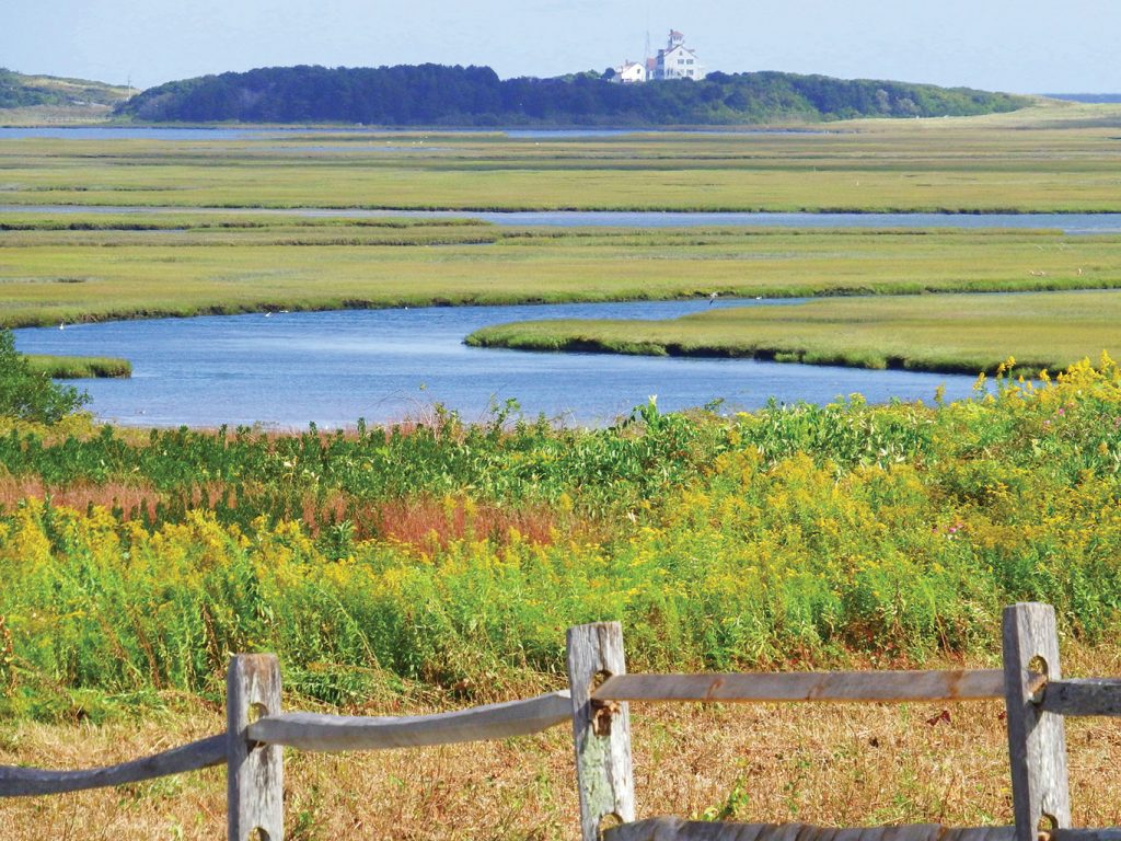 2018 Annual Guide: Eastham, Annual Guide 2018 Cape Cod LIFE | capecodlife.com