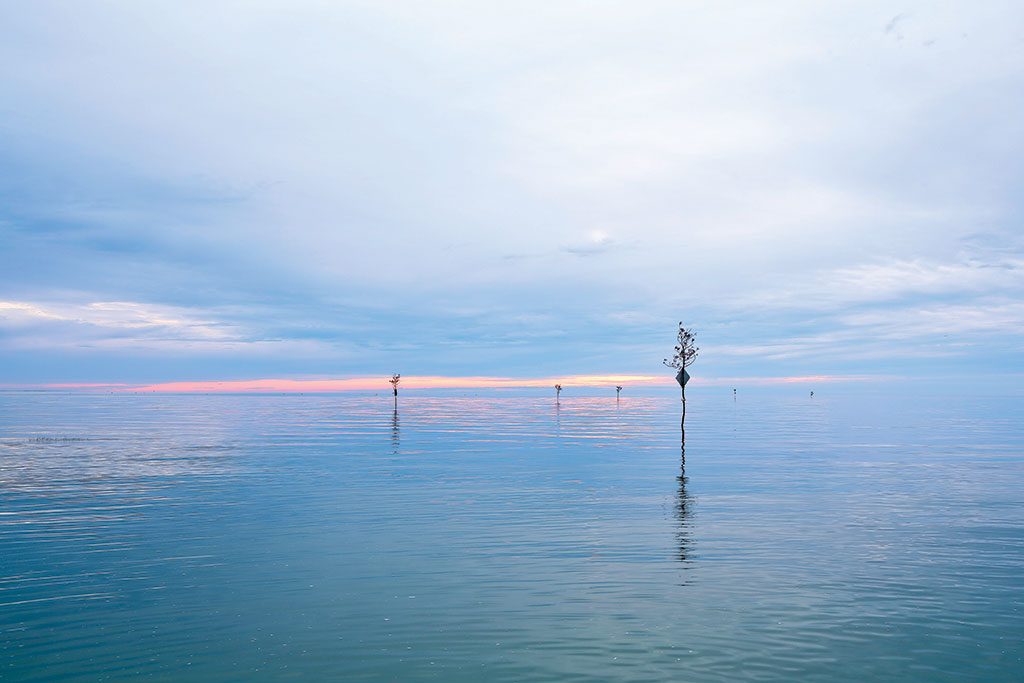 2018 Annual Guide: Orleans, Annual Guide 2018 Cape Cod LIFE | capecodlife.com