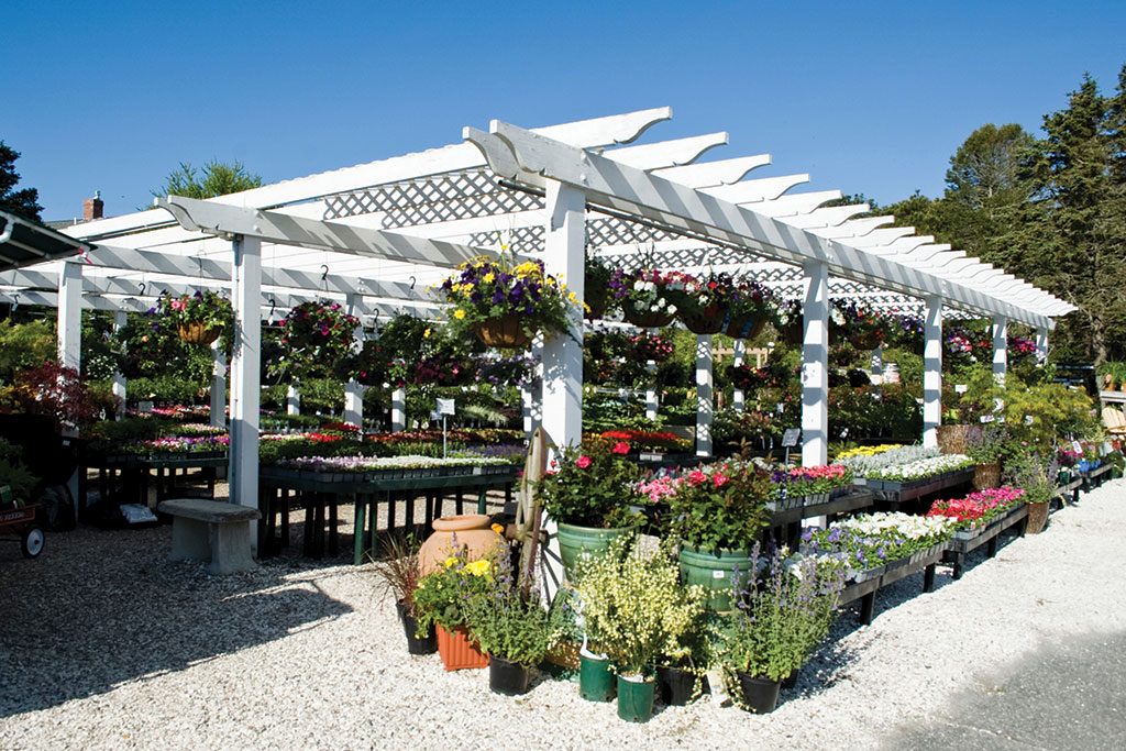 How does your garden grow?, April 2018 Cape Cod LIFE | capecodlife.com