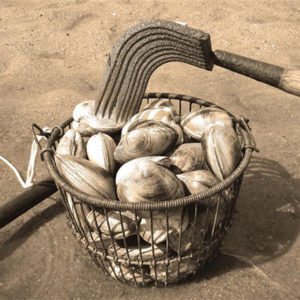Clams