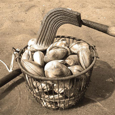 Clams