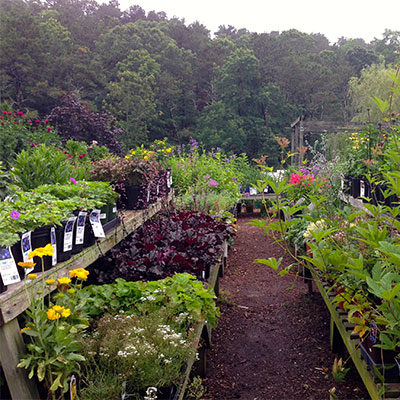 Garden center