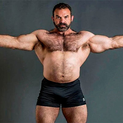 Bears and Boxers