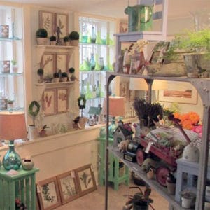 Botanica interior