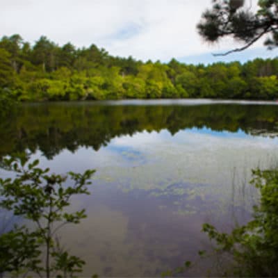 Eagle Pond