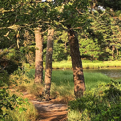 Indian Lands Conservation Area Trail