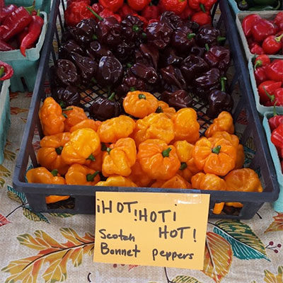 Hot Peppers