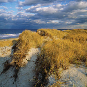 Sandy Neck Beach