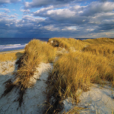 Sandy Neck Beach