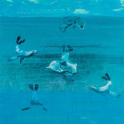 Seals Painting