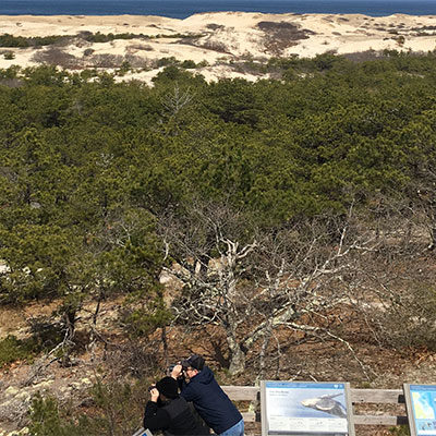 Visitors viewing dunes