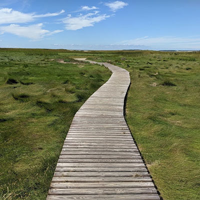 Wellfleet Bay Wildlife Sanctuary