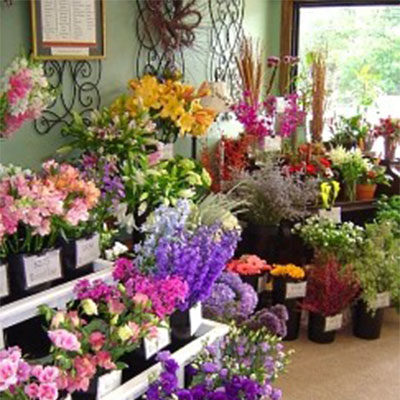 Flowers inside