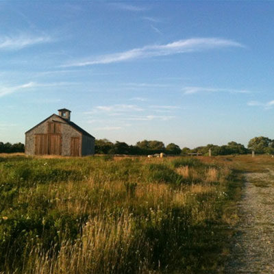 Sandord Farm