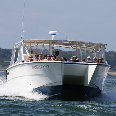 Boat tour