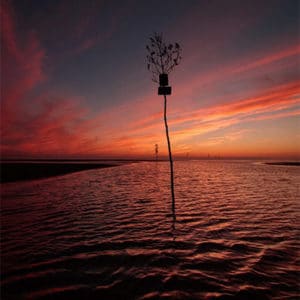 Rock Harbor Sunset