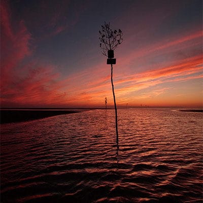 Rock Harbor Sunset