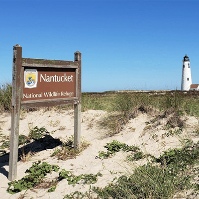 Great Point Beach