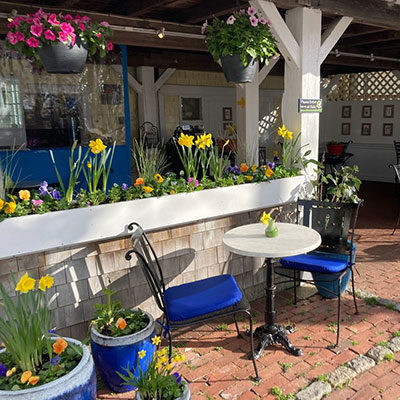 among the flowers front patio with flowers