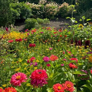 Armstrong-Kelley Park