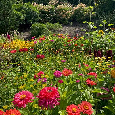 Armstrong-Kelley Park