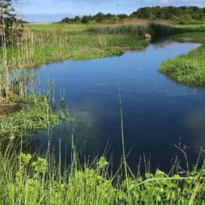 Cape Cod Museum of Natural History Trails