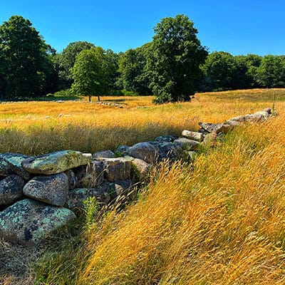 Waskosim's Rock Reservation